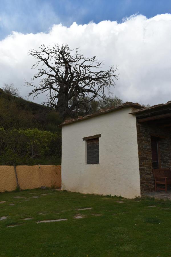 Cortijo Jimenez - Casa Rural Villa Pitres Exterior photo